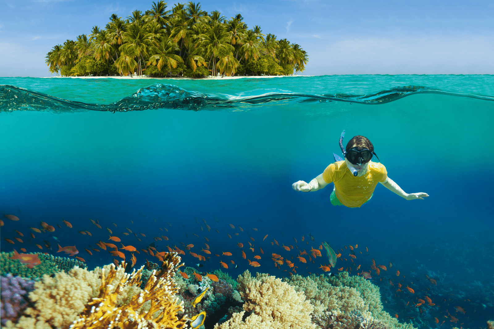 coral-island (3)
