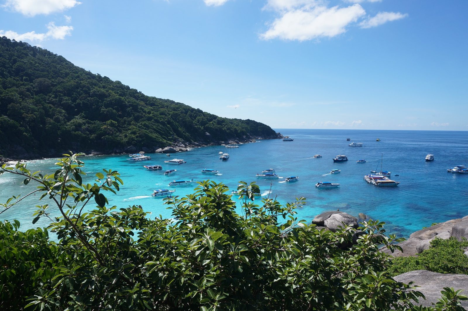 Similany wycieczka z Phuket czy z Khao Lak (i Krabi) – co wybrać w sezonie 2026/27?